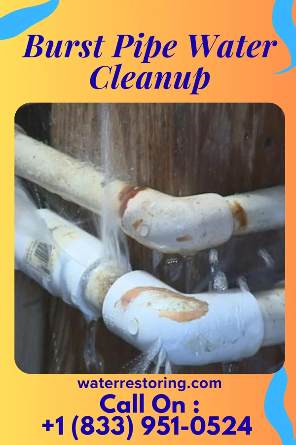 Burst Pipe Water Cleanup in Westbury, NY