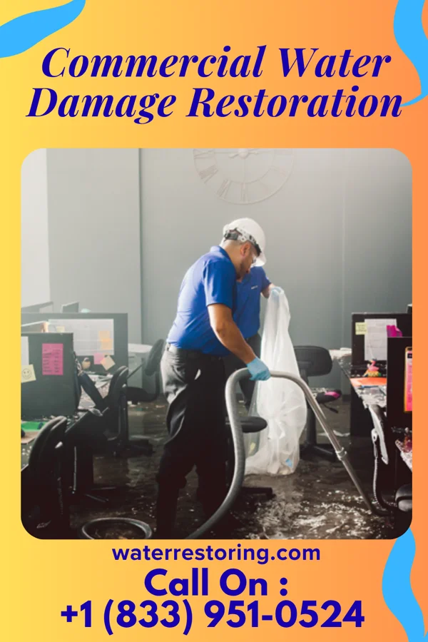 Commercial Water Damage Restoration in Westbury, NY