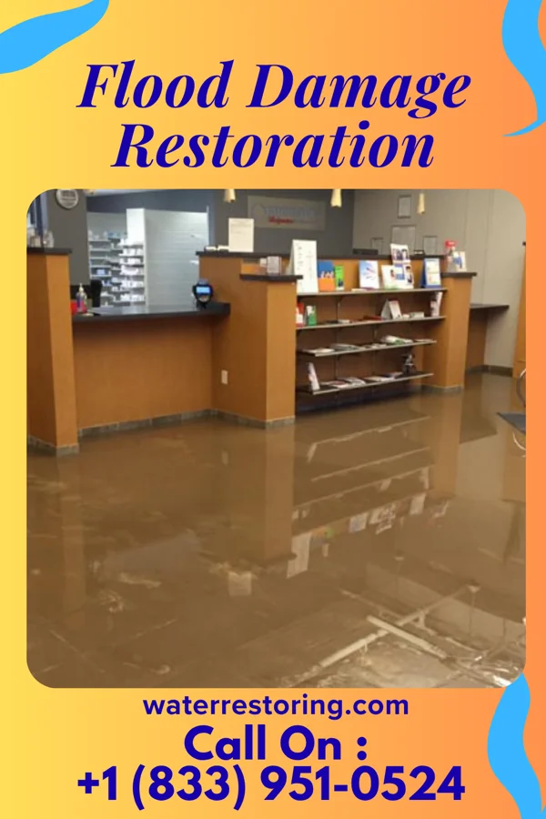 Flood Damage Restoration in Westbury, NY