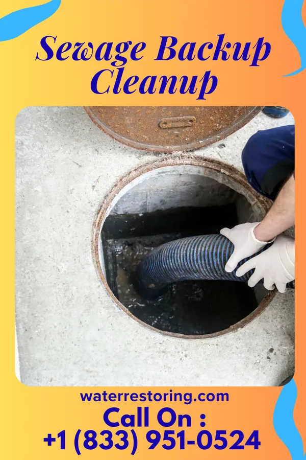 Sewage Backup Cleanup in Westbury, NY