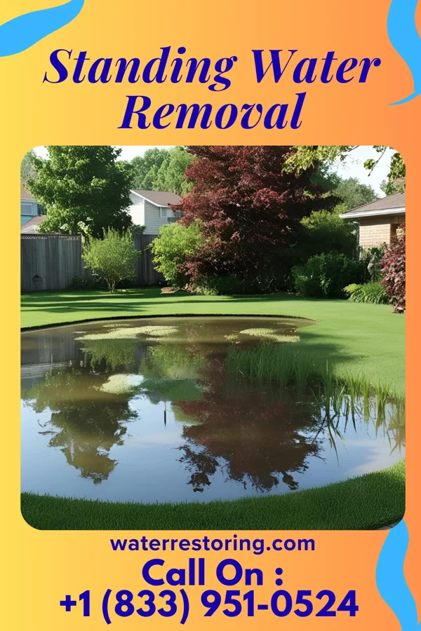 Standing Water Removal in Westbury, NY